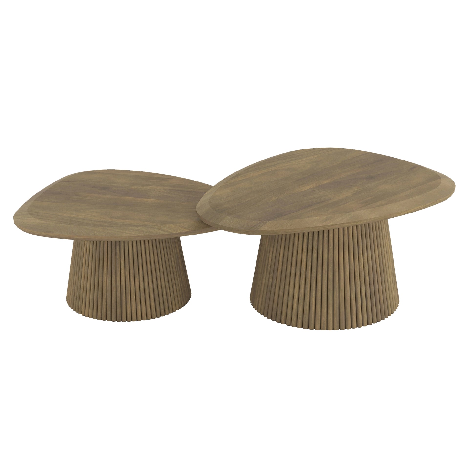Leo Wooden Coffee Table Set of 2